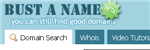 Bust a name - domain search