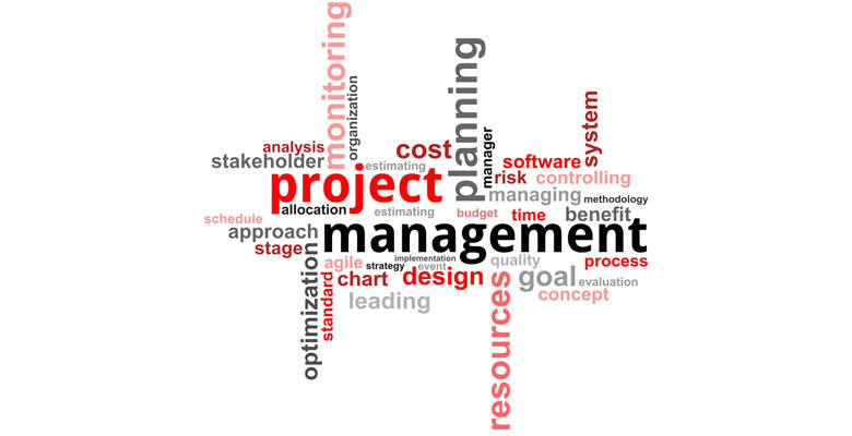 project management